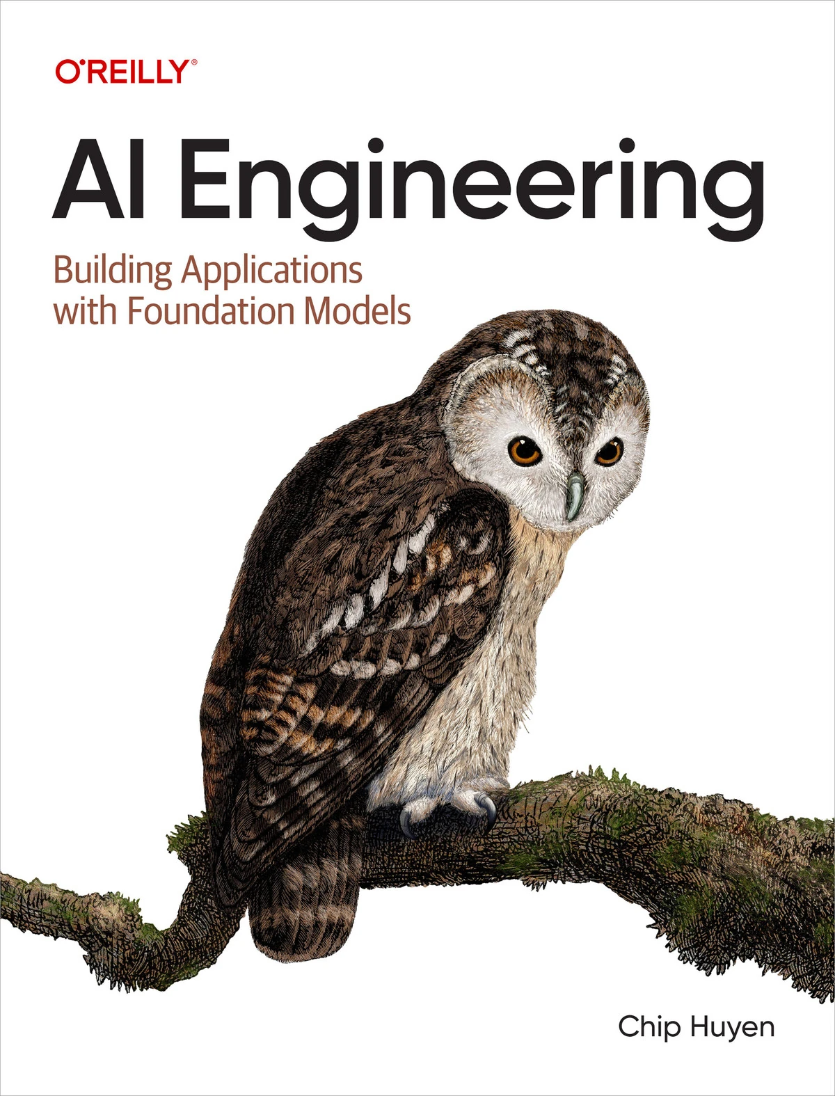 جلد کتاب AI Engineering نوشته‌ی چیپ هوین